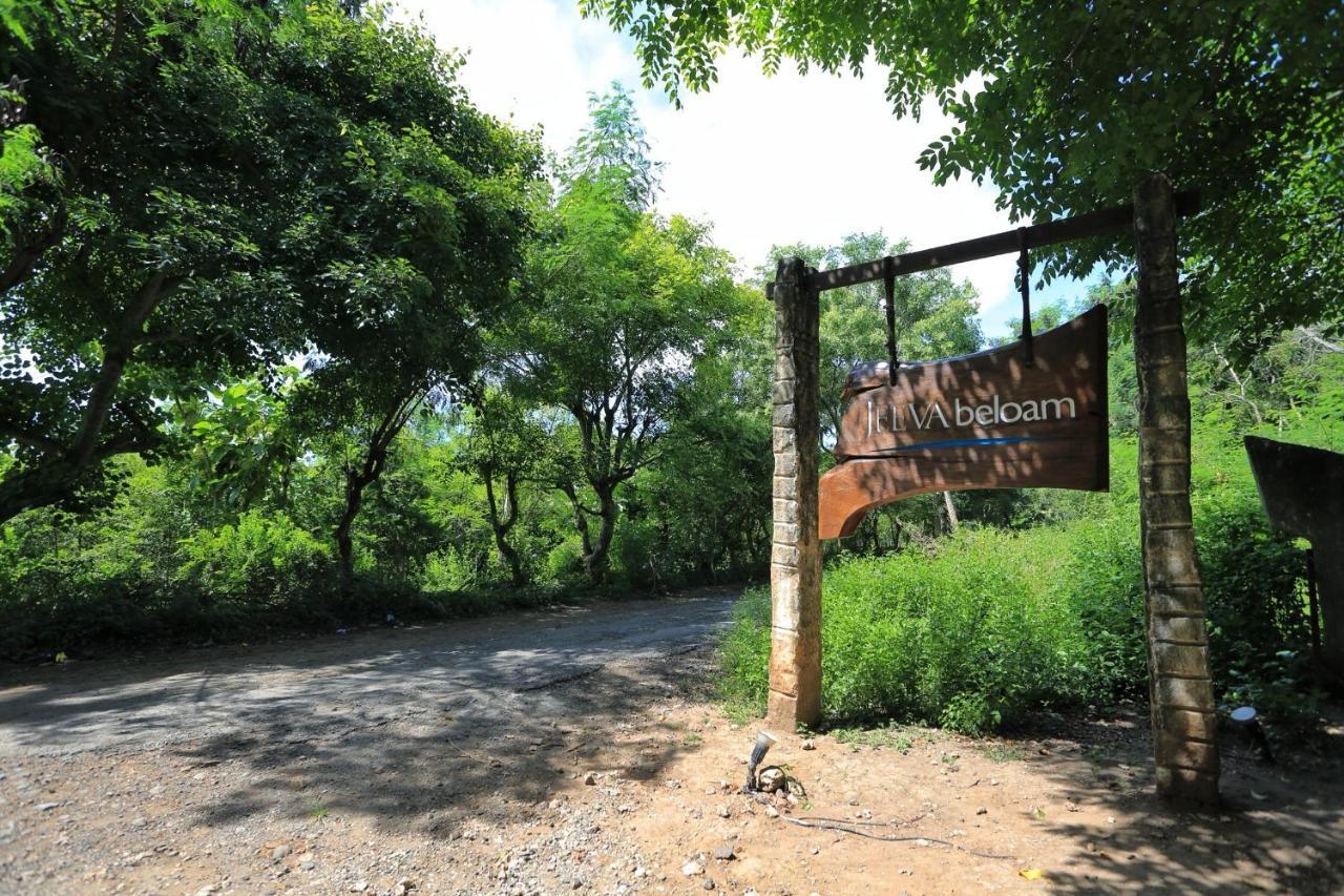 Jeeva Beloam Beach Camp Tanjung Ringgit Extérieur photo
